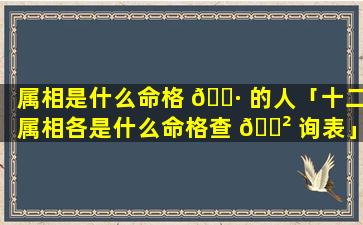 属相是什么命格 🌷 的人「十二属相各是什么命格查 🌲 询表」